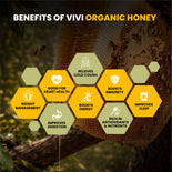 Wild Forest Organic Honey 500G