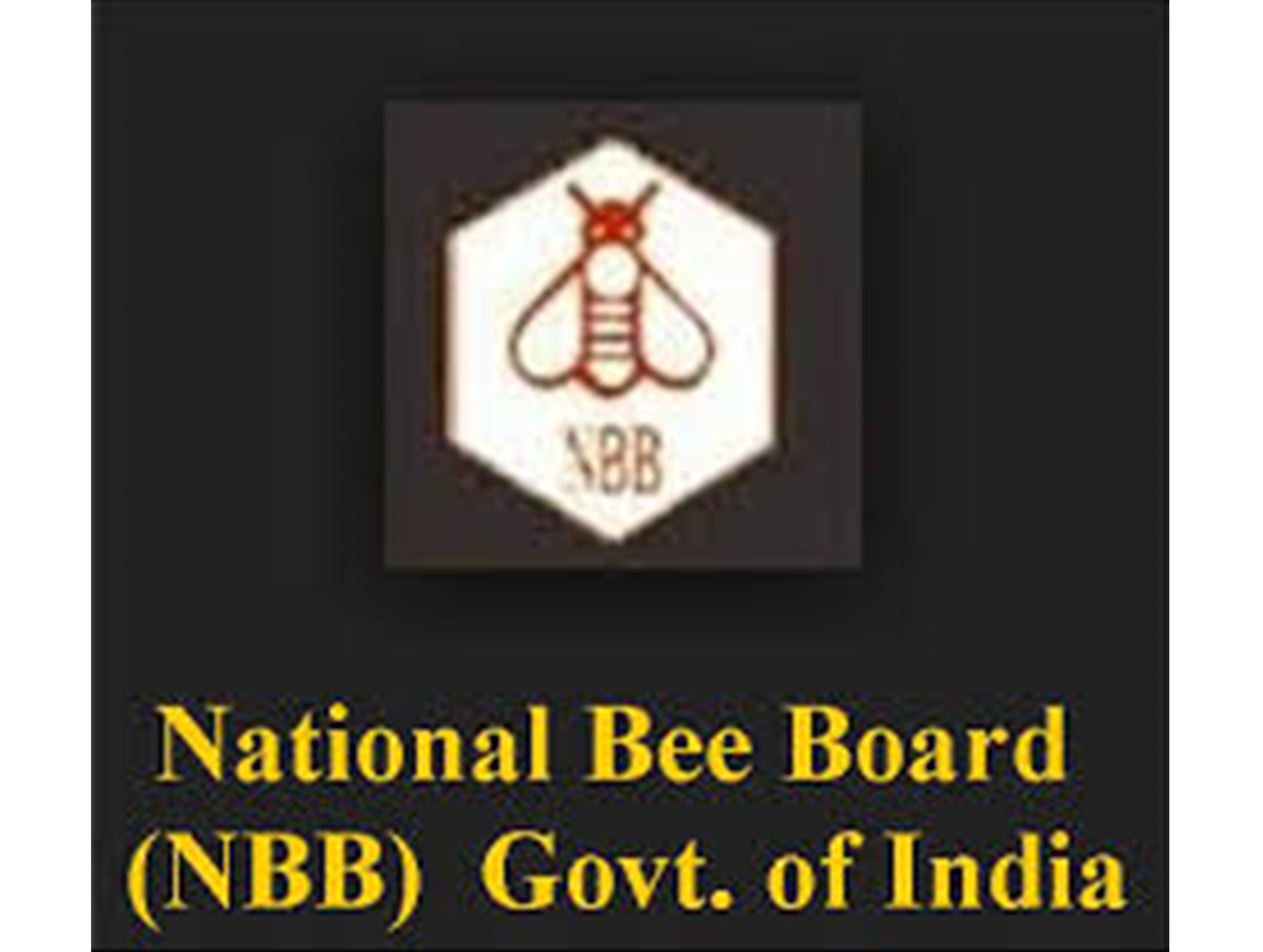 NBB (National Bee Board)